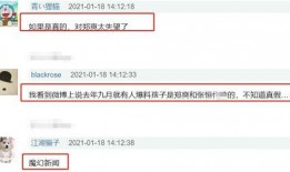 网 网络爆料 黑料正能量,正能量与黑料的交织