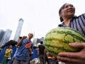 51朝阳吃瓜,揭秘娱乐圈最新吃瓜事件，带你领略明星幕后故事
